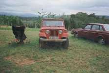Ebro Comando Jeep Commando clone Viasa Spain